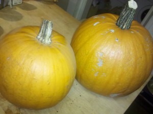 Pumpkins!